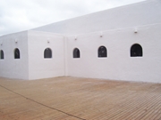 PACHA SP 11